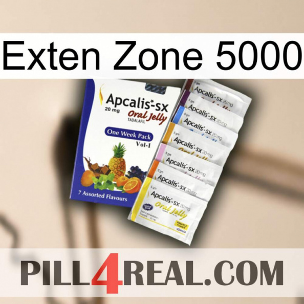 Exten Zone 5000 11.jpg